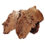 Nutrixia Karanj Chhal (Bark) -KARANJA- Pongamia pinnata-Pongam oil tree Bark-Indian beech 100 Gms