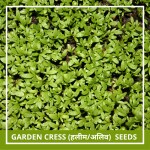 Farmgokart | 200 Seed Pack of GARDEN CRESS SEEDS | Best Suitable For Terrace And Home Gardening