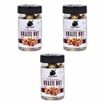 Notty Nuts Combo Brazil Nuts Pack 100 g (Pack Of 3)