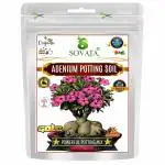 Sovata Adenium Potting Soil, Powerful Organic Mixture for Healthy Overall Growth and Heavy Flowering. (1800 gm)