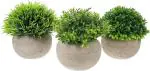 Dekorly Plastic Green Artificial Potted Plants Bathroom Fake Shelf Plant With Pot (Pack Of 3)