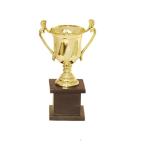 HOMESHOPEEZ Trophy For Office Functions, Sports, Awards Ceremony - (6 Inch)
