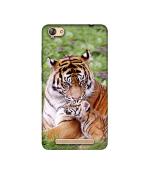 Casotec Tiger Design Printed Silicon Soft TPU Back Case Cover for Micromax Vdeo 4