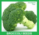 Countgreen Plus Brocolli Vegetable Seed, 10 Per Packet