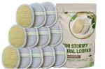 Mini Storify Truly Organic Natural Oval Loufah or Loofah Pad Sponge Body Scrubber for Bathing Men and Women Pack of 11