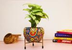 Leafy Tales Designer Indoor Plant Pot With Stand - Mandala Art Design, Rust Free Metal Plant Pot For Living Room, Balcony & Garden (Metal Design Pot-Mandala), 1 Piece