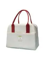 ADL PASSION Multicolor Canvas Insulated Lunch Bag