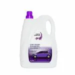 Moon And Mount Concentrated Car Washing Liquid Biodegradable 5 L