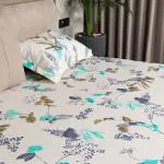 Urban Space Regal 100% Percale Cotton 200 TC Printed Elastic Fitted Bedsheets King Size with 2 Pillow Covers (Size 72 x 78 inches, Cherry Blossom-Blue)