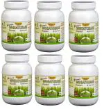 Girme's Wheatgrass Powder 100g - Pack of 6
