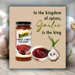 Testo Garlic Chilli Chutney - Spicy and Flavorful Condiment Chutney Paste (250 g)