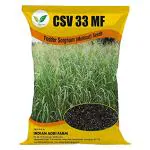 IAgriFarm Csv 33 Mf Fodder Sorghum Seed - 1 Kg - Multicut For Fodder Cultivatoin, Fodder grass