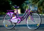 Eastman Addo India Sizzlig Purple Bicycle, Single Speed With Steel Front Basket and Back Carrier, Ideal for Girls for 12 years and above, Tyre Size 26x1.95, Bicycle Size 26inch