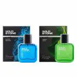 Wild Stone Forest Spice and Hydra Energy Perfume Combo for Men 30ml (Pack of 2)