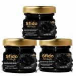 zemaica healthcare Shilajit, Increase Body Stamina, Semi Liquid, Pack of 3