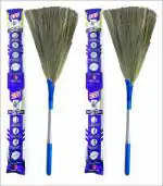 Monkey 555 5T Grass Broom Pack of 2