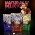 Jagan Dry Fruits - combo of 3- Black raisins (2) + White raisins (1) (250 x 3)