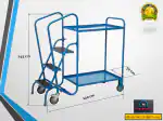 SUWAS TROLLEYSTORE 2 Layer Order Picking Trolley With Step Ladder (Steel) Blue, 400Kg
