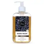 Palmist Red Grapes Luxury Hand Wash clear Gel 500 ml, with Anti-Bacterial, Moisturized Skin, Germ Protection