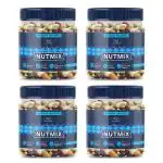 GreenFinity Daily Dose Mixed Nuts - 1kg, Dry Fruit, Seeds & Berries - Organic Trail Mix | Dry Fruit Nutmix With Dry Fruits, Berries For Eating | 9+ Varieties Like Almonds, Cashews, Cranberries, Pumpkin Seeds | Pack of 4.