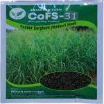 CoFS31 Fodder Seed 2 kg