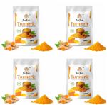 FlexFlair Turmeric Full Body Hair Removal Powder, 10 minute Painless Herbal Hair Removal Waxing Powder, Easy to use at home,Salon like Results, Effective Hair Removal 100g)(Pack of 4)
