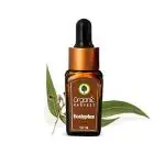Organic Harvest Eucalyptus Essential Oil 10 ml