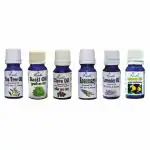 ROSEKA Lemon, Lavender, Rosemary, Clove, Basil & Tea Tree Essential Oil Combo Set 10ml Each - 100% Pure, Natural & Undiluted Refreshing Essential Oil Kit Aromatharapy (pack of 6) 60ml