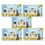 The DDS Store Wet Pet Wipes for Dogs, Puppies & Pets with Fresh Apple Scent 6