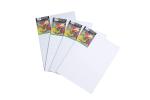 Brustro White Cotton Canvas Board Medium Grain 10X14 Inch (Pack Of 4)