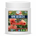 Erwon NPK 10:18:24 for Plants (900 gm)