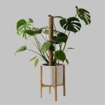Garden Art Brown Imported Stick Monstera Coco Coir Moss Poles for Climbing Support Extension Coir Flower Pots