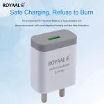 2.1 AMP RAPID MOBILE CHARGER WITH MICRO USB CHARGING CABLE