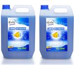 Fiviza FRESH FLORAL LD 10L Classic Liquid Detergent (2 x 5 L)
