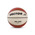 Vector X Multicolor Basketball