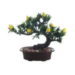 Foliyaj Artificial Bent Bonsai Yellow Pear Tree Plant With Pot 23 x 10 cm