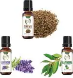 botanic garden Combo of Ravensara,Thyme,Lavender Essential oil for-sniff and snuffles-10ml each (30 ml)