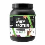 Green Sun 100% Whey Protein Powder 500g (Chocolate Flavor) | Imported Whey | Gold Standard | Added Digestive Enzymes | Enriched with BCAA | Healthy | Diet Friendly | Pack of 1