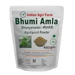 i Agri Farm Bhumi Amla Powder / 450g / Bhumyamalaki / Keelanelli / Nela usiri Powder