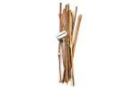 Rudra Centre Apmarga Sticks used in Mercury Homam