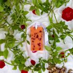 NYTARRA FRAGRANT WAX TABLET | CITRUS BURST| PACK OF 1