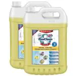 PaxClean Extra Strong Surface & Floor Cleaner Disinfectant Concentrate (Fresh Citrus) , 10L (5L x 2)