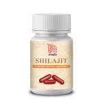 Nirogam SHILAJIT Ayurvedic Fulvic Acid Complex 60 Capsules