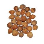 Pmw Sriphal Laghu Coconut - Set of 11 Pieces, Brown