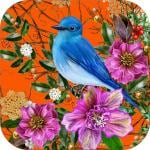 WallWear - Wallpaper for Walls Sticker Big Size (40x300) Cm Wall Paper for Wall Decor | Self Adhesive Wallpaper Stickers | Kitchen Wall Stickers | Wallpaper for Walls Bedroom Stickers (Blue Bird)