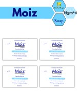 Herbal Hage Moiz Syndet Bar ( PACK OF 4)