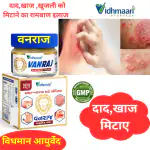 Vidhmaan Ayurvedic Vanraj Anti Fungal infection Malam for-itching,,Ringworm-Eczema (25 g)