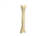 PAWCLOUD Plastic Dog Bone Toy Medium 7 Inch