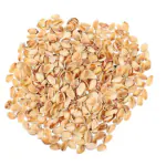 90 Degree Store Pista Shell Without Pista Pistachio Natural Shells Empty Pista Shell for Decoration Craft Work Art Ivory Colour