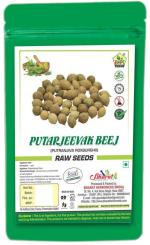 Bhpi Bharat Putrajeevak Beej Raw Seeds | Putrajivak Seeds | 300 Gm